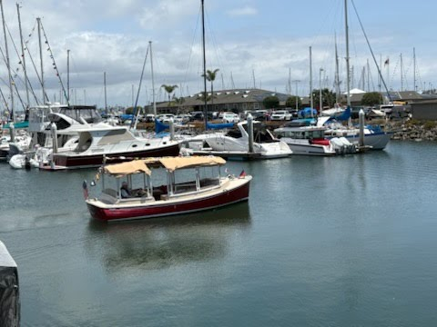 Commodore’s letter Summer 2024